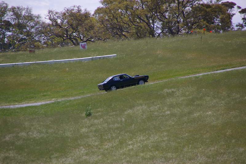 IMGP8761