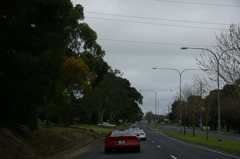 IMGP8225