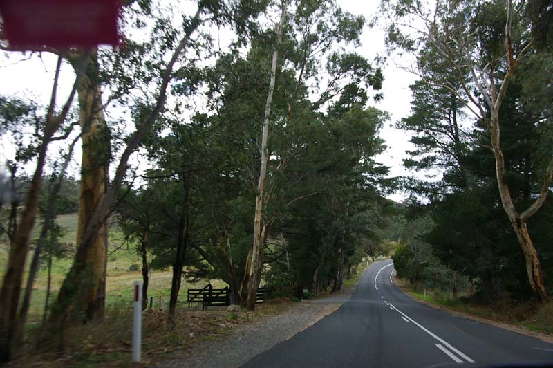 IMGP0435