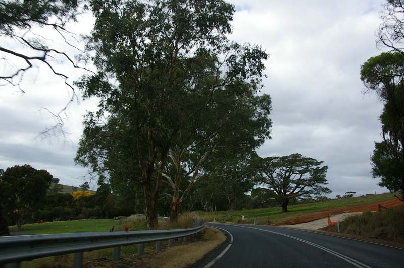 IMGP0437