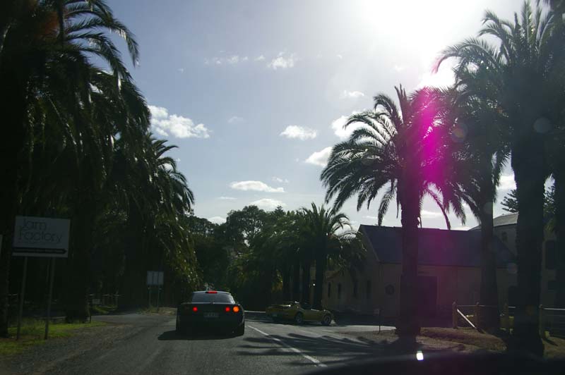 IMGP0571