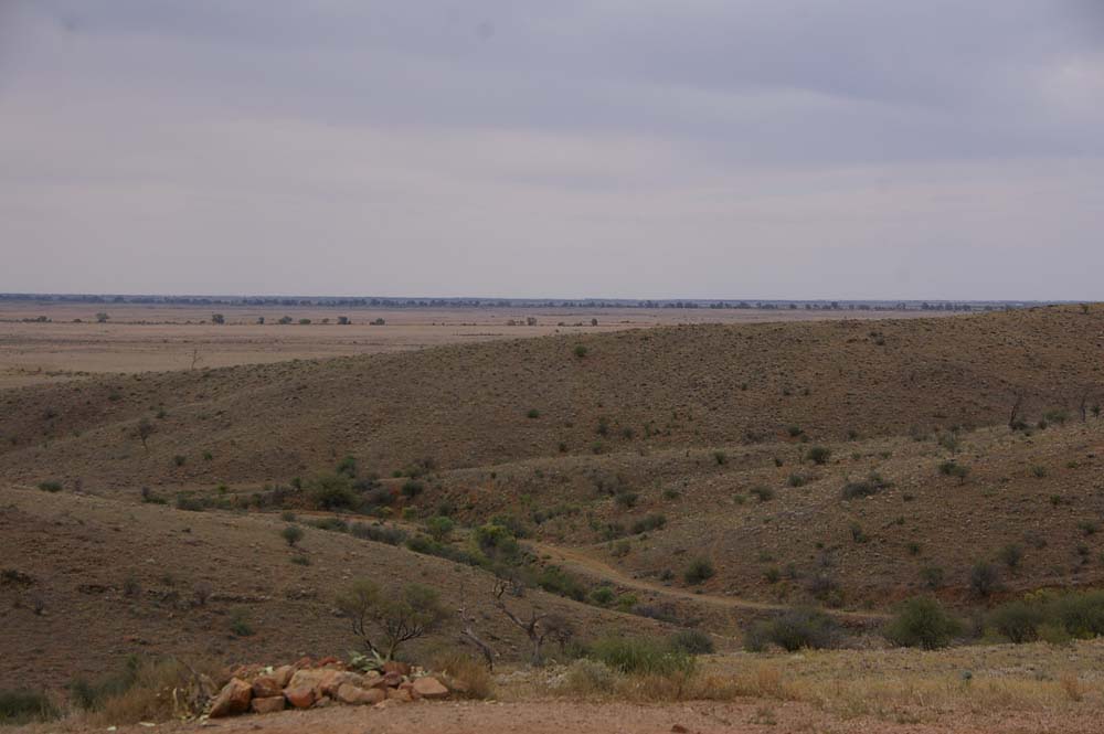 IMGP2045