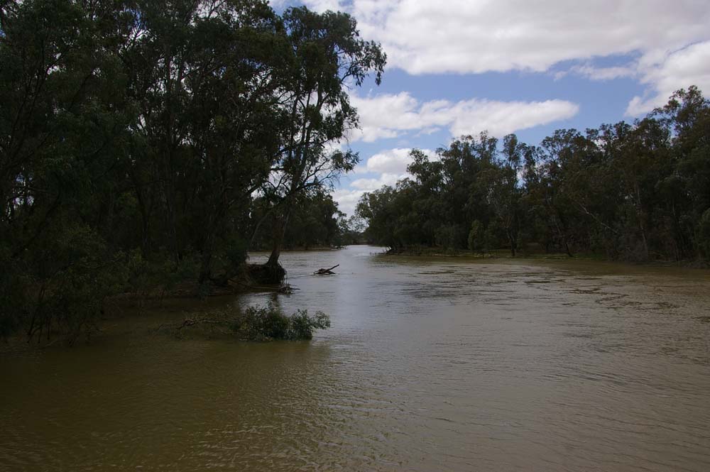 IMGP3054