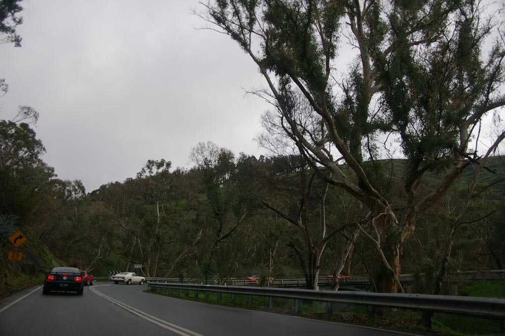 IMGP4646