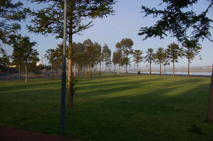IMGP2937