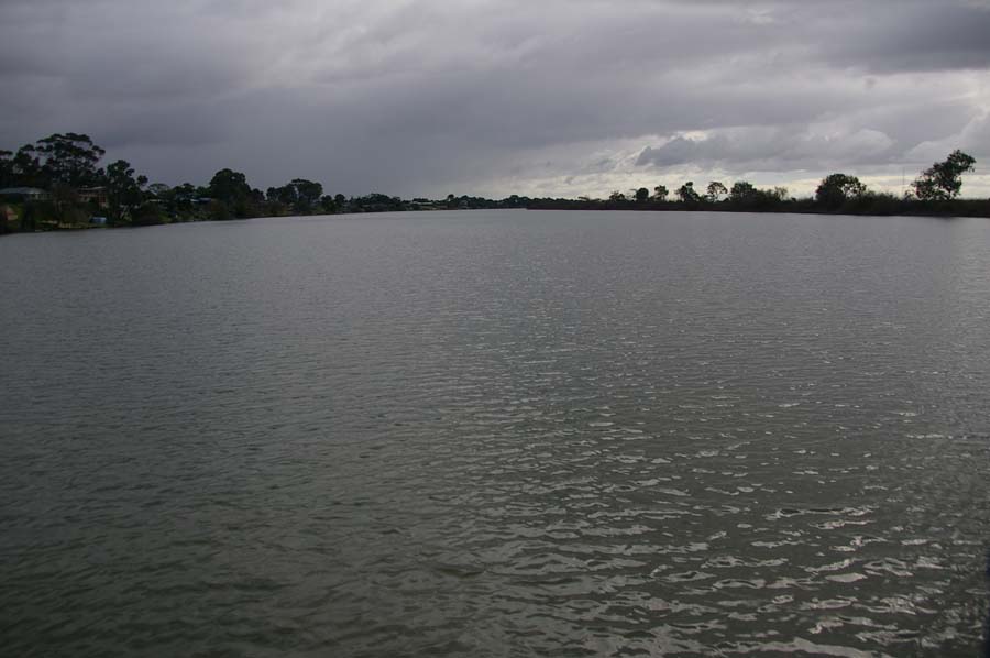 IMGP4401