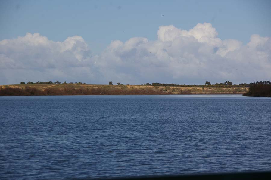 IMGP4403