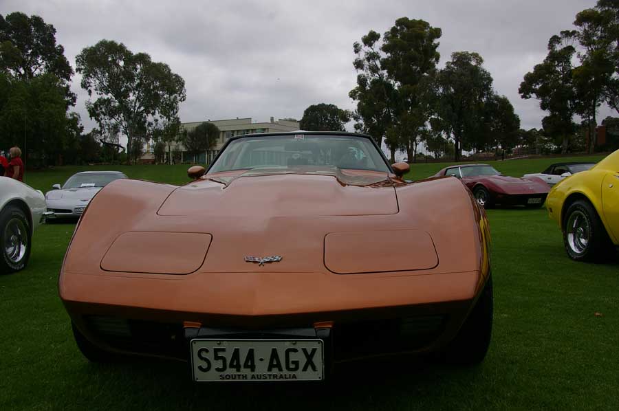 IMGP6129