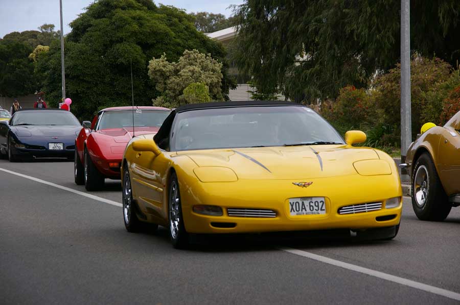 IMGP4991