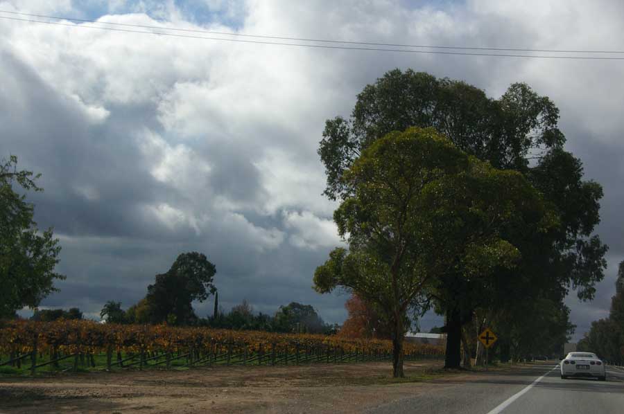 IMGP8020